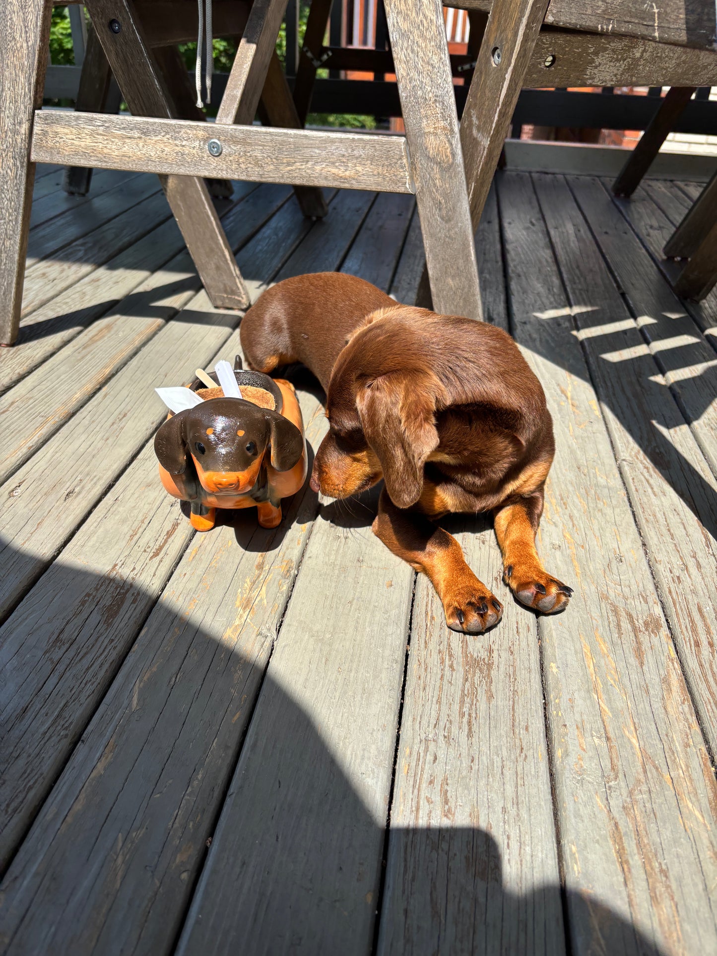 Custom Dog Plant Holder