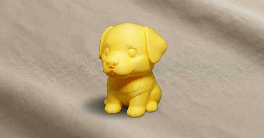 Golden Retriever Storage