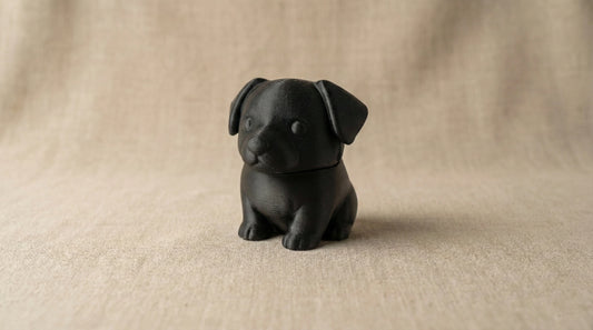 Border Collie Storage