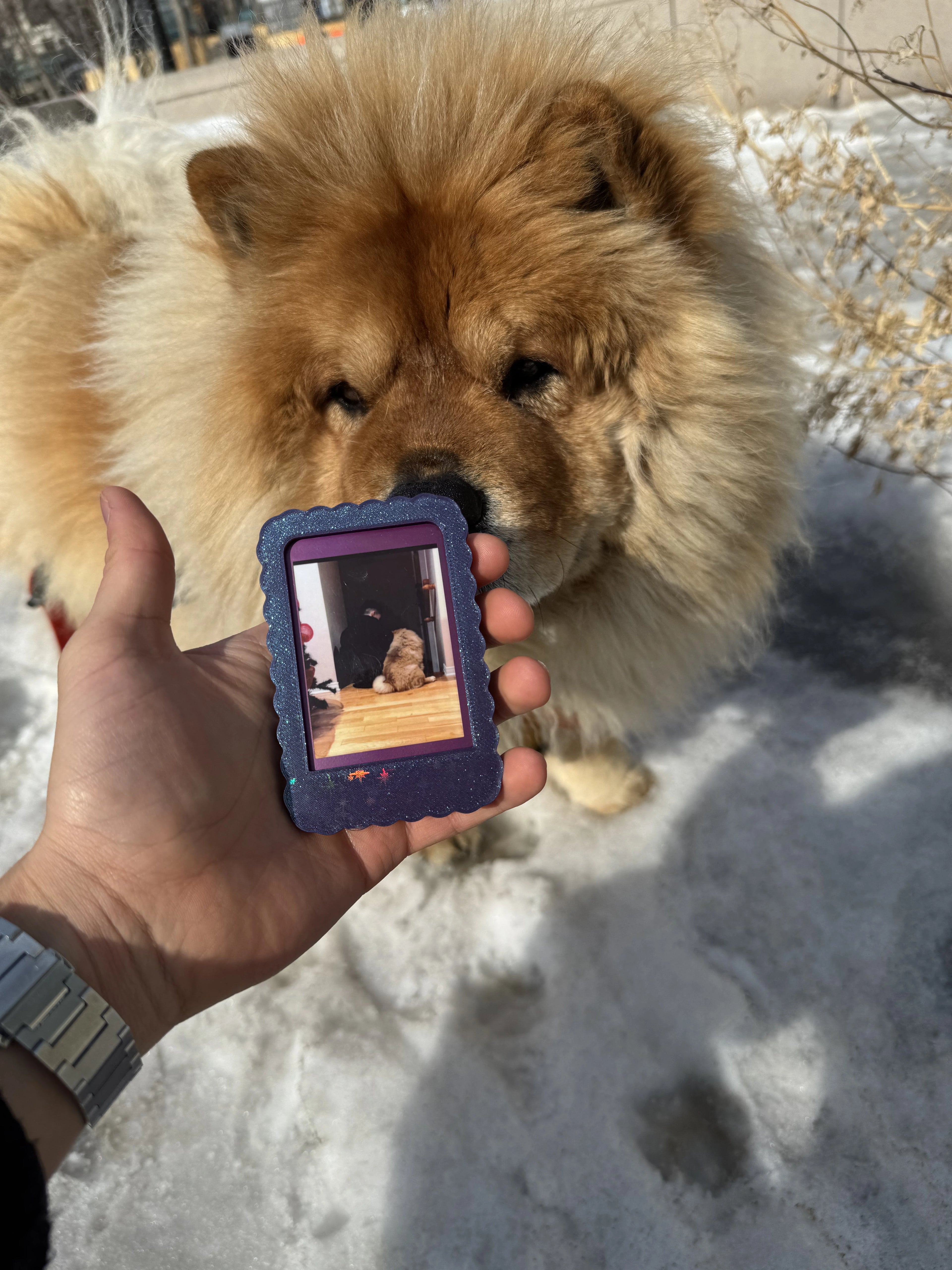 3-Pack Instax Picture Frame