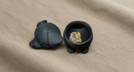 Border Collie Storage